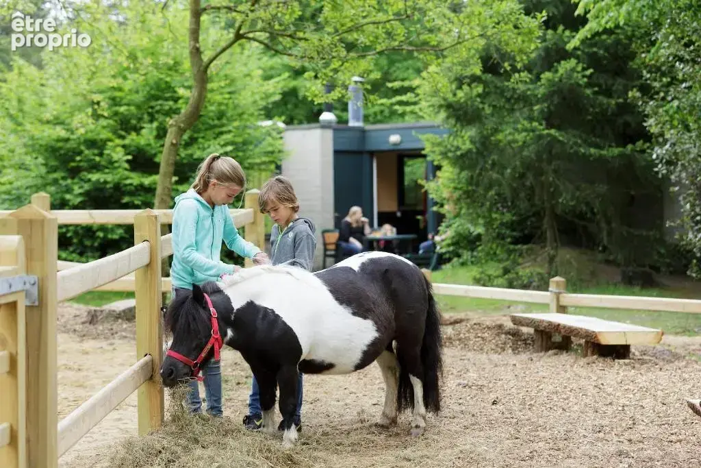Investissement dans un Center Parcs - photo 15
