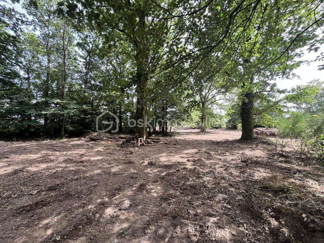 Terrain de loisirs de 5 995 m² - photo 3