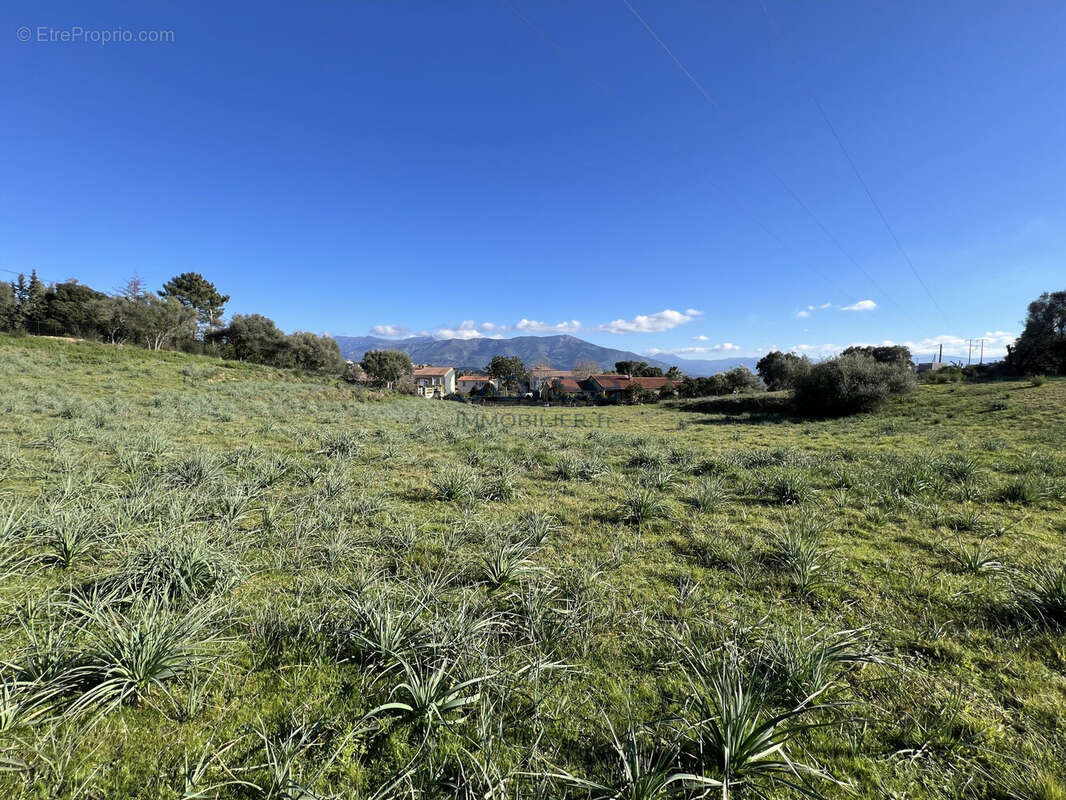 Terrain 1100 m² à Afa  - photo 7