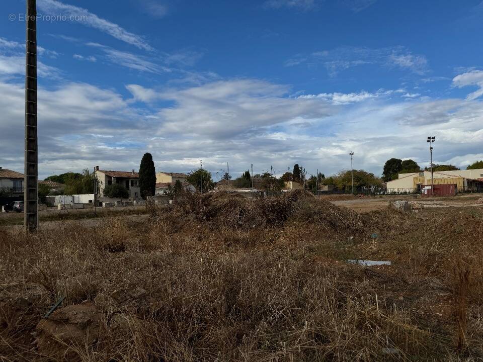 Terrain à COURNONTERRAL