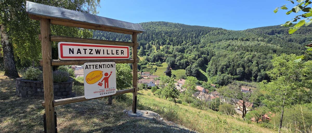 Natzwiller, exceptionnel, terrain à bâtir sur les hauteurs : projet de construction « Prêt à démarrer » avec v - photo 17