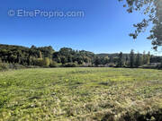 Terrain à VILLAMBLARD