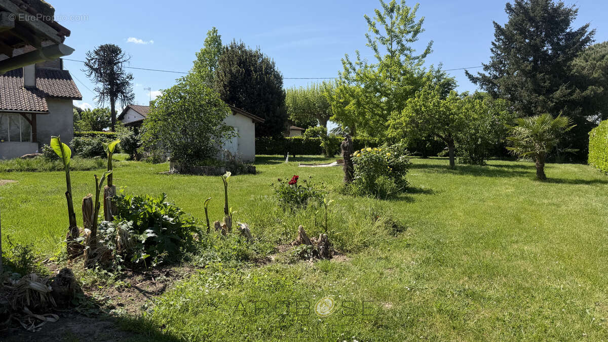 Maison à TONNEINS