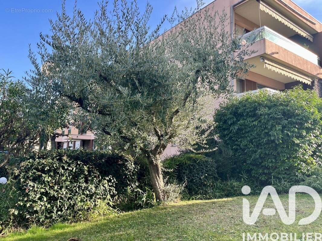 Photo 3 - Appartement à LE CANNET