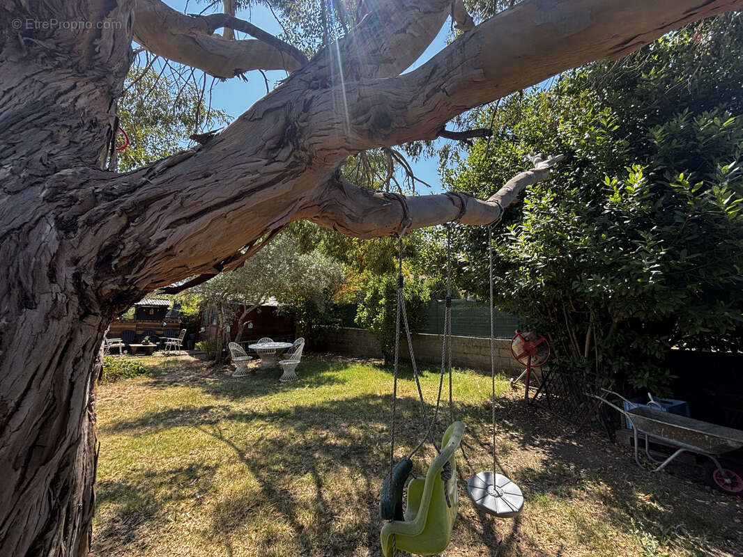 Proche pezenas -  maison independante de plain pied 3 chambres terrain 1345m2 grand terrain clos - photo 25