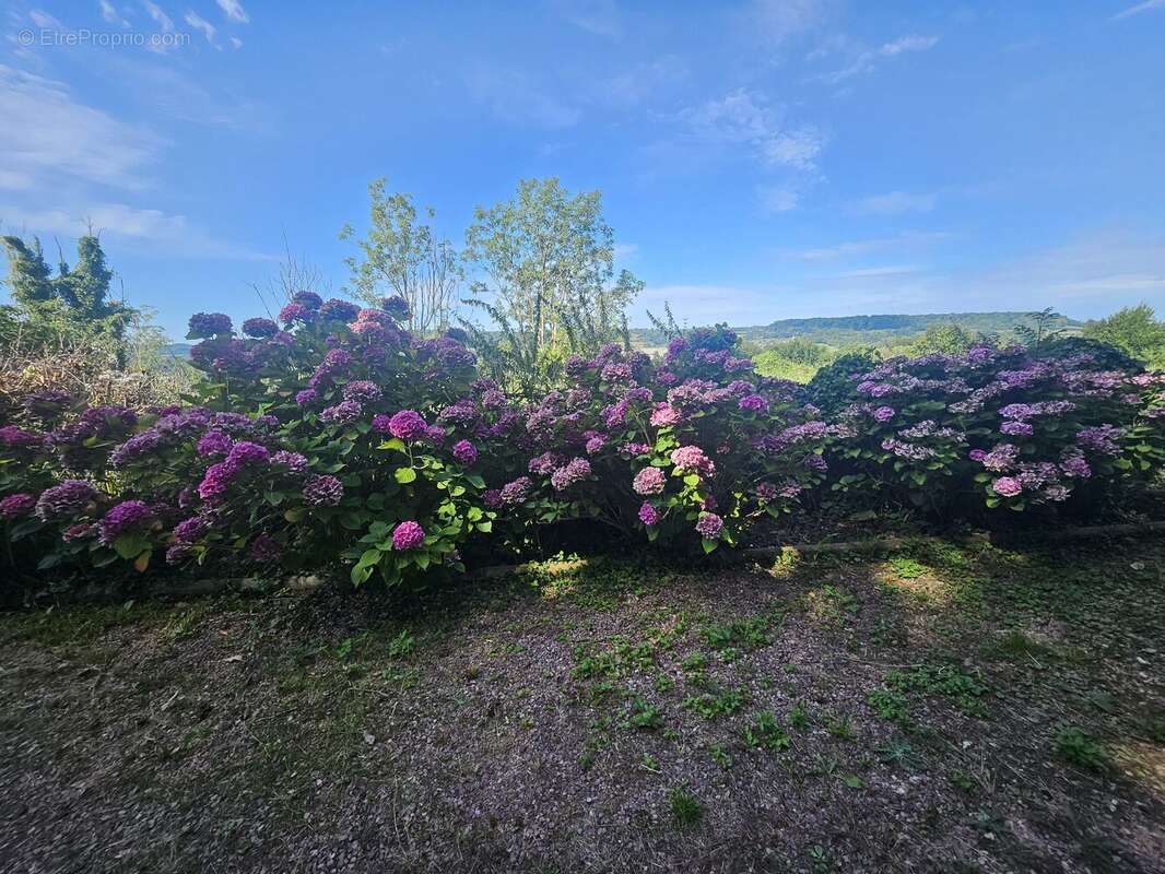 Terrain à MANNEVILLE-LA-PIPARD