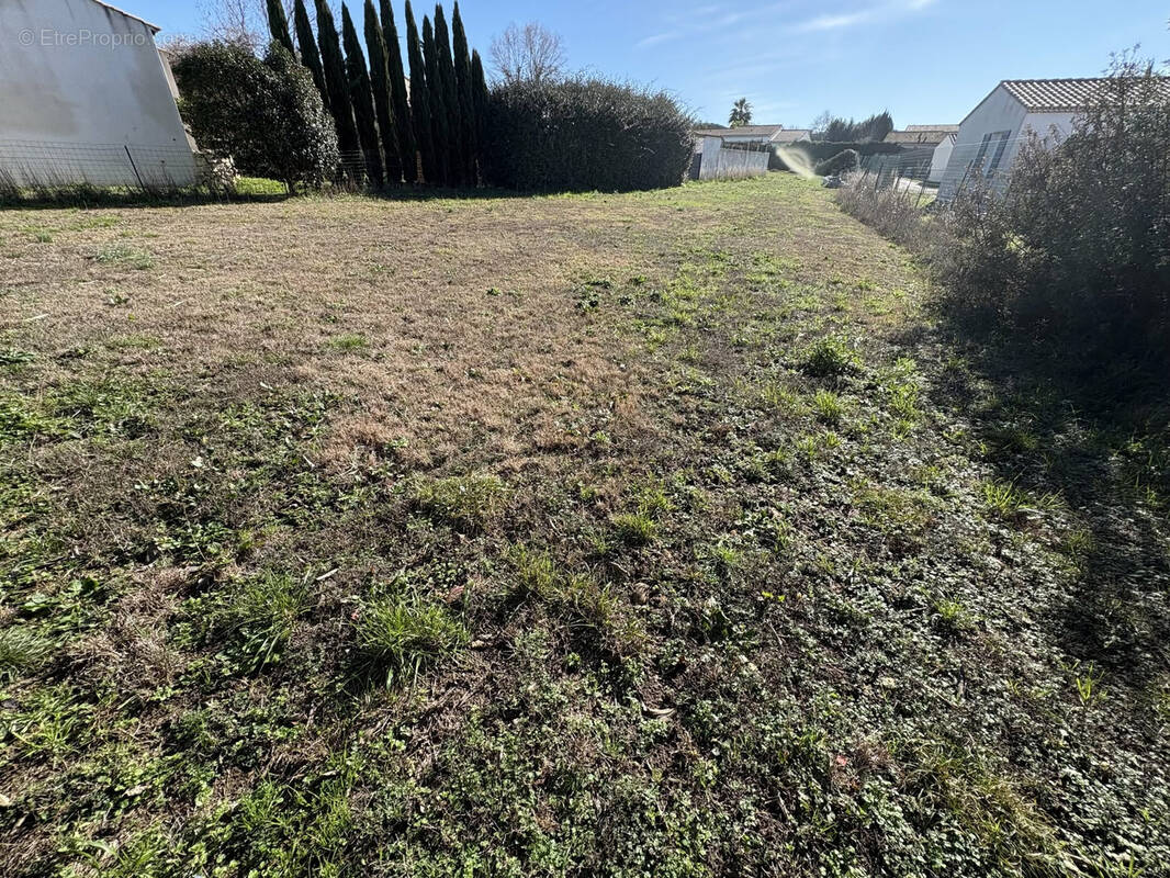 Terrain à BEAUVOISIN