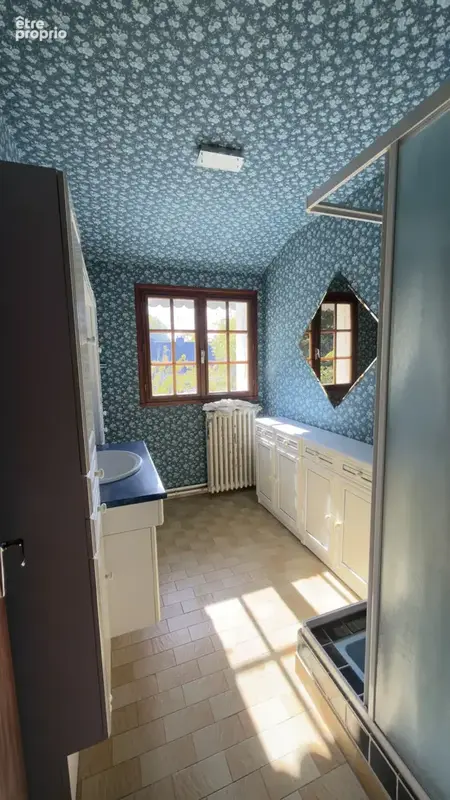 Grande maison avec dépendance - photo 15