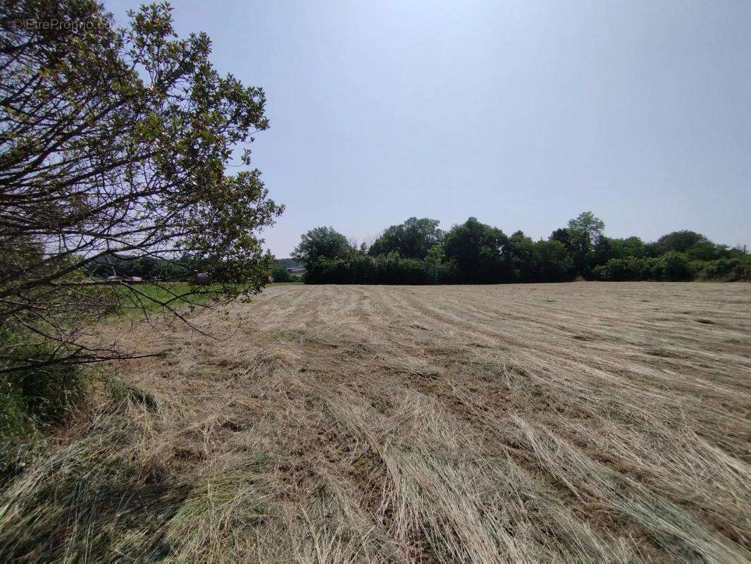 Terrain à CASTELNAU-MONTRATIER