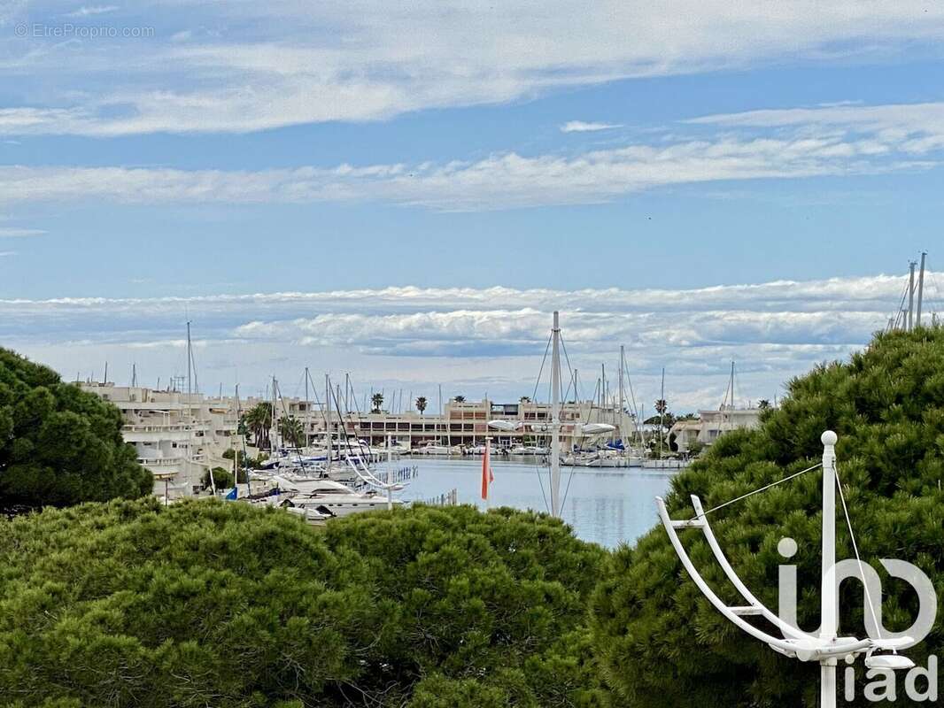 Photo 3 - Appartement à LE GRAU-DU-ROI