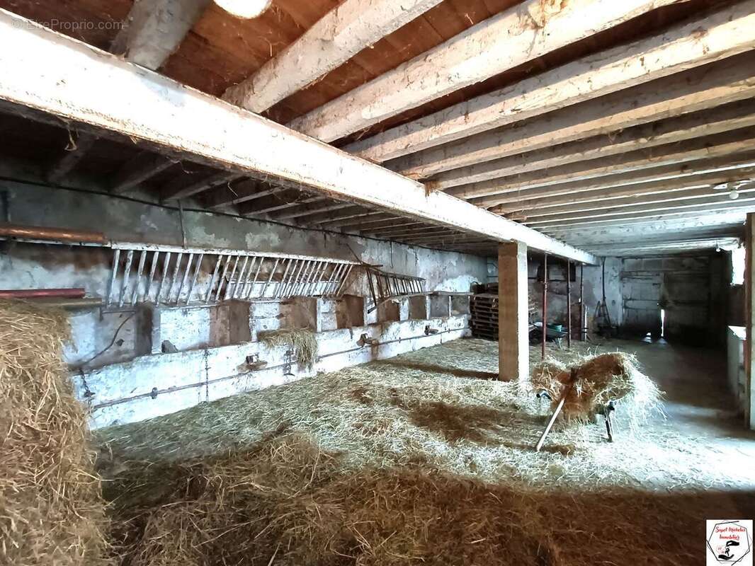 Maison à COLOMBIER-LE-VIEUX