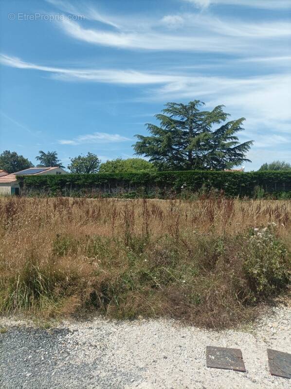 Terrain à LA RABATELIERE