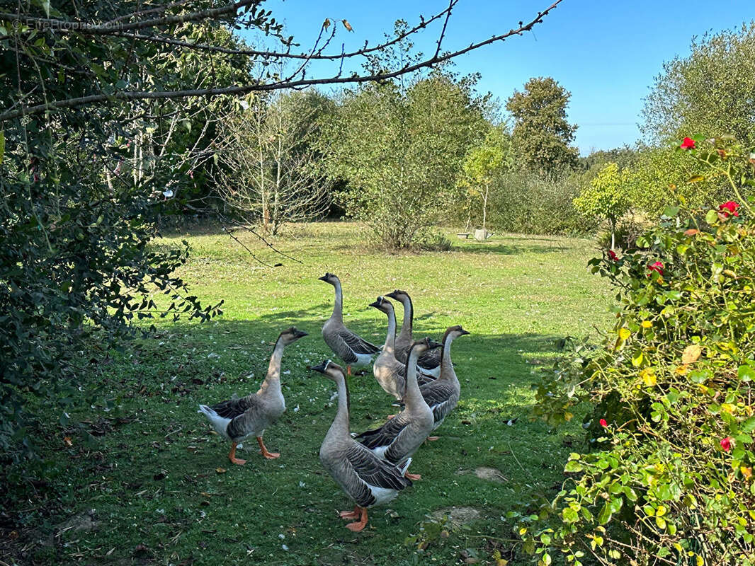 Maison à TALMONT-SAINT-HILAIRE
