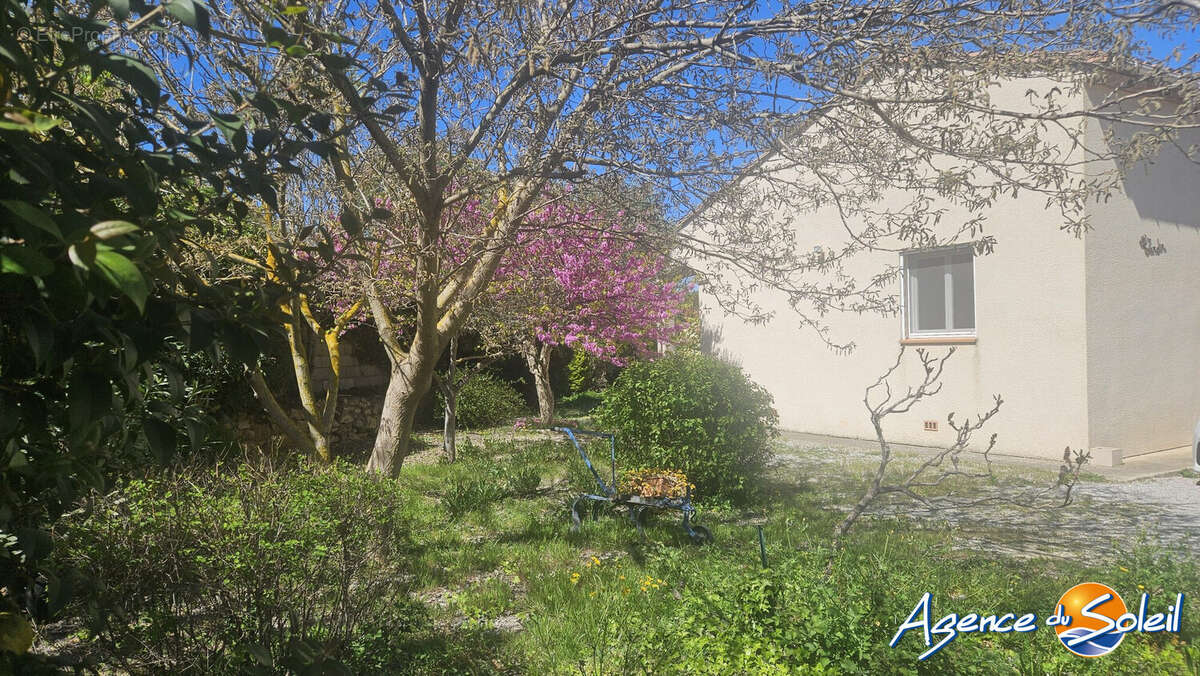 Maison à MOUSSAN