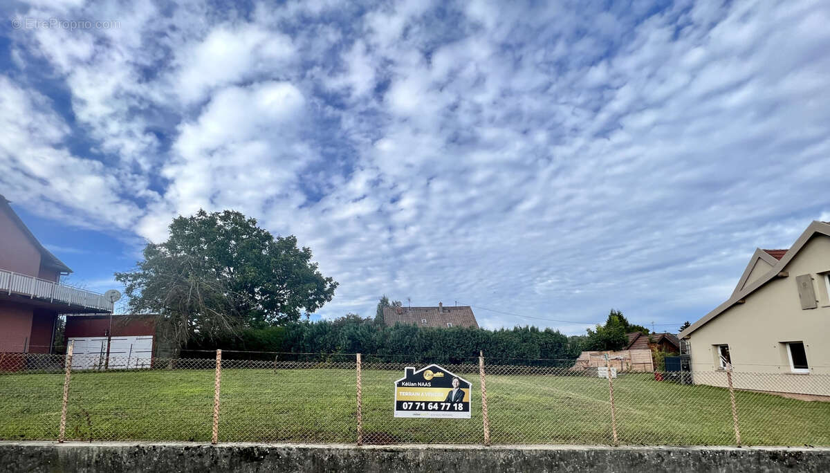 Terrain à HIRTZBACH