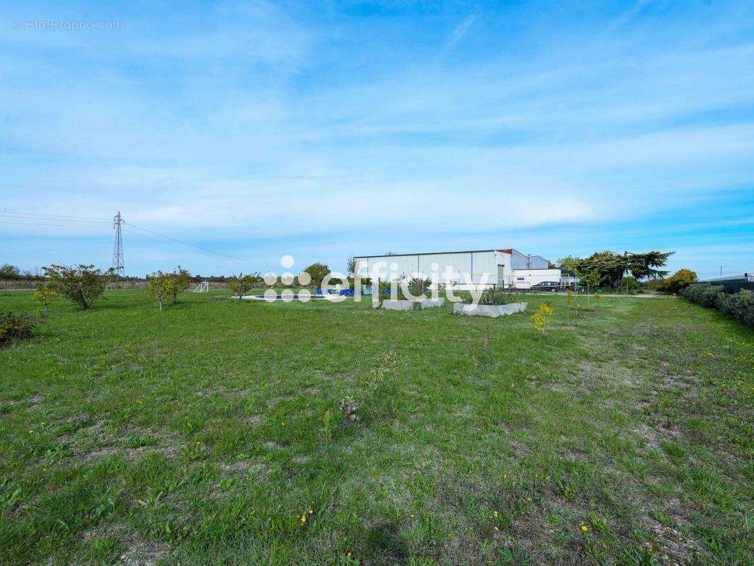 Maison à SAINT-CYR-EN-VAL