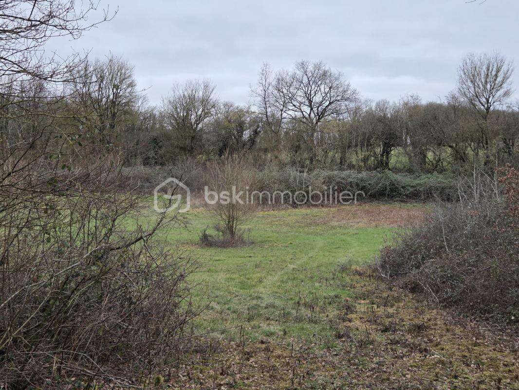 Terrain à BLANZAY