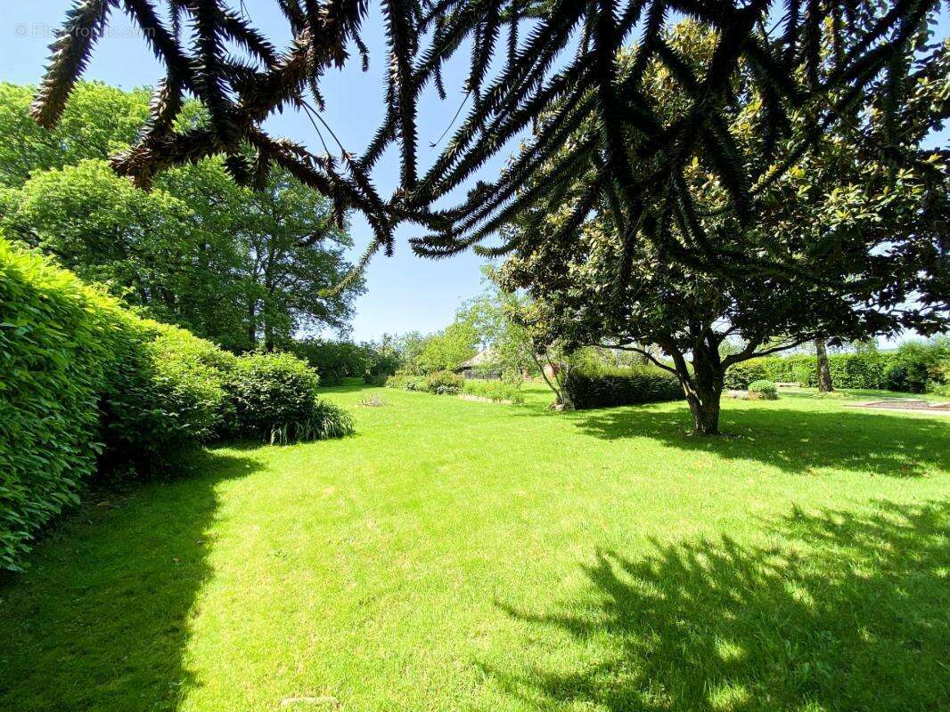 Propriété en pierre 208 m² dont 45 m² de véranda + grange 180 m² – Accessible PMR – 7000 m² – 20 min de Vannes! - photo 26
