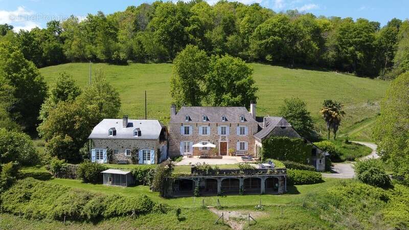 Pau (64) - À vendre Propriété de 450m2 - Forêt et prairie de 20 ha avec vue exceptionnelle sur les Pyrénées au calme - photo 2