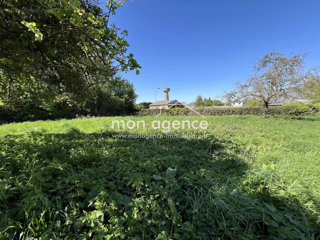 Terrain à QUINCAMPOIX