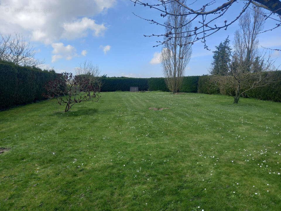 Terrain à DAMMARIE