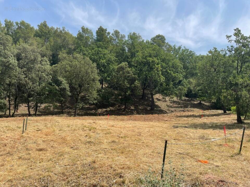 Terrain à TARADEAU