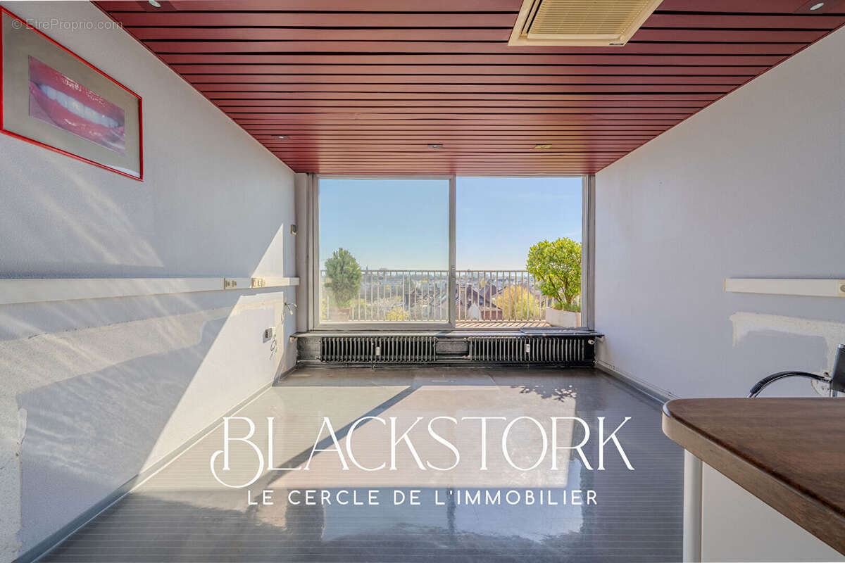 Local professionnel - strasbourg roberstau - vue degagee - photo 12