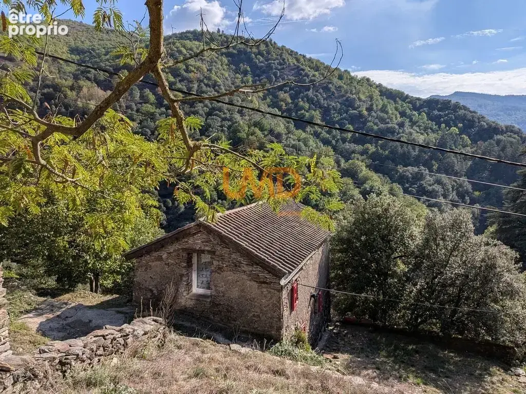 Maison à SAINT-ANDRE-DE-VALBORGNE