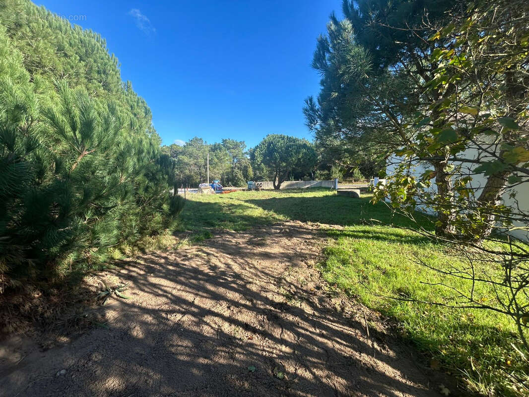 Terrain à SAINT-HILAIRE-DE-RIEZ