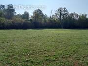 Terrain à SAINT-MAXIMIN-LA-SAINTE-BAUME