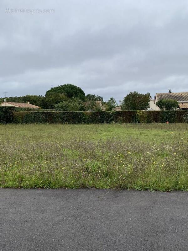 Terrain à ROULLET-SAINT-ESTEPHE