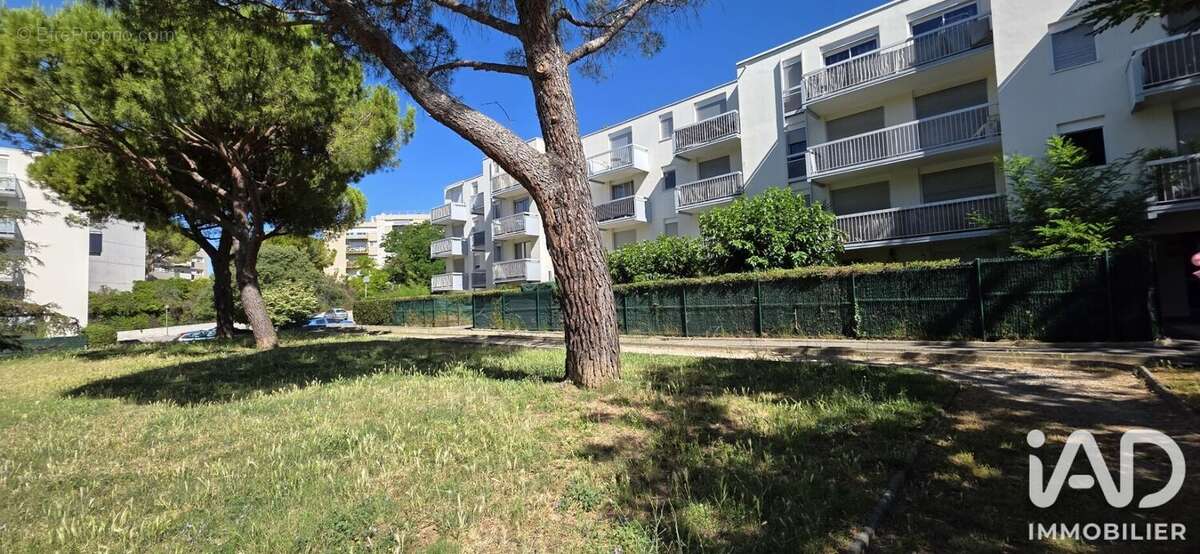 Photo 2 - Appartement à MONTPELLIER