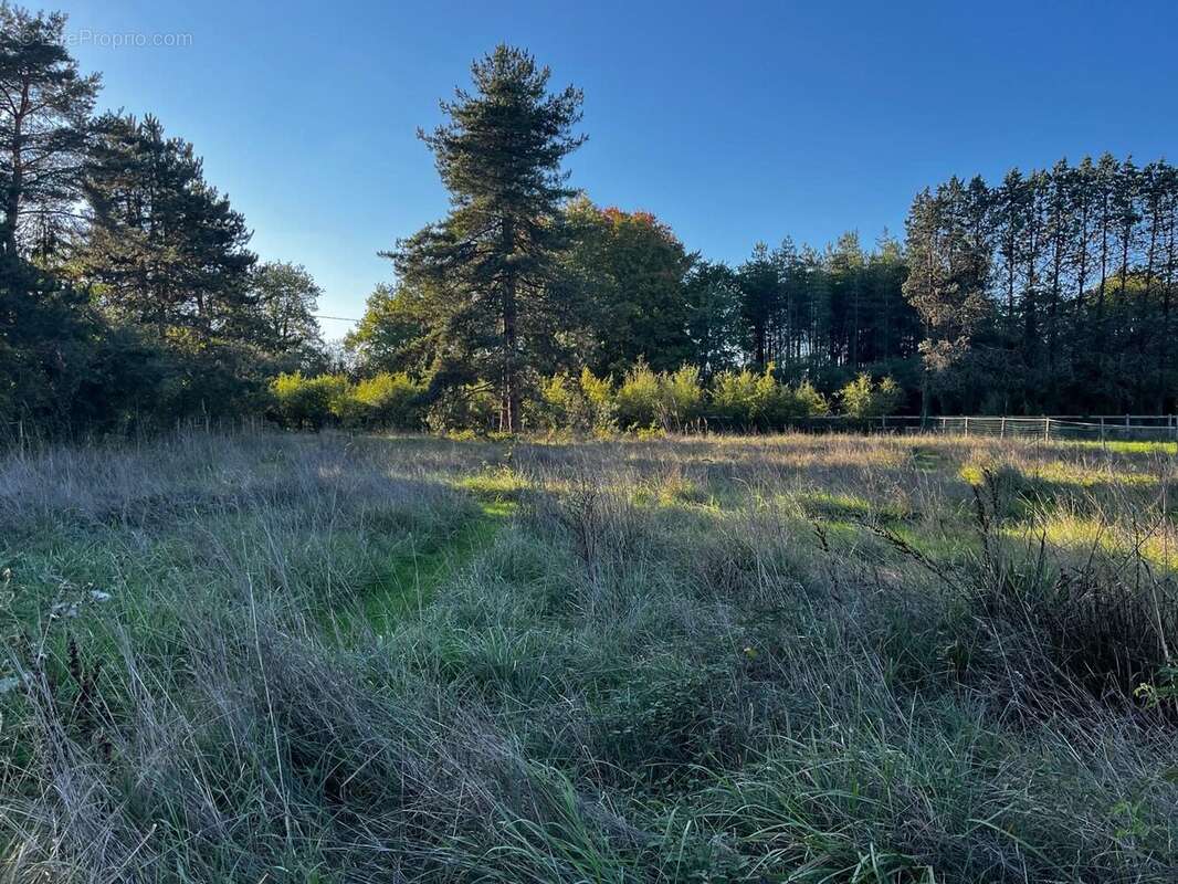 Maison à VIENNE-EN-VAL