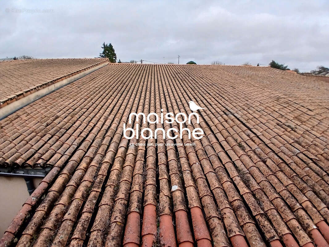 Commerce à AIRVAULT