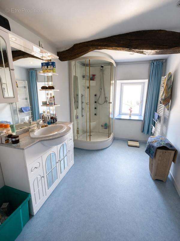 Maison de 6 pièces de 203 m² à Romazières - photo 8