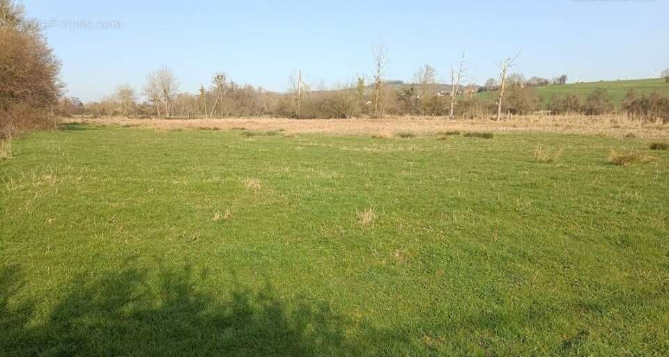 Terrain 1000 m² à Freauville  - photo 2