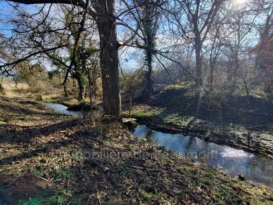 Maison à BEAUMONT-LE-ROGER