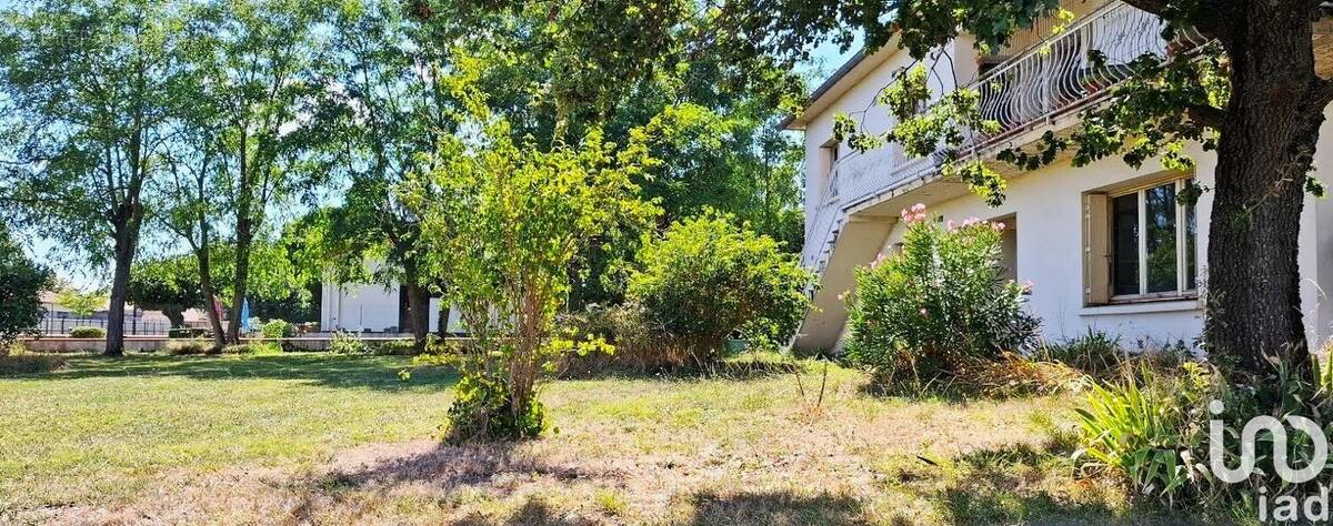 Photo 1 - Maison à MURET