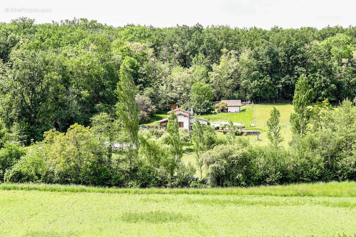 Propriete equestre - photo 8