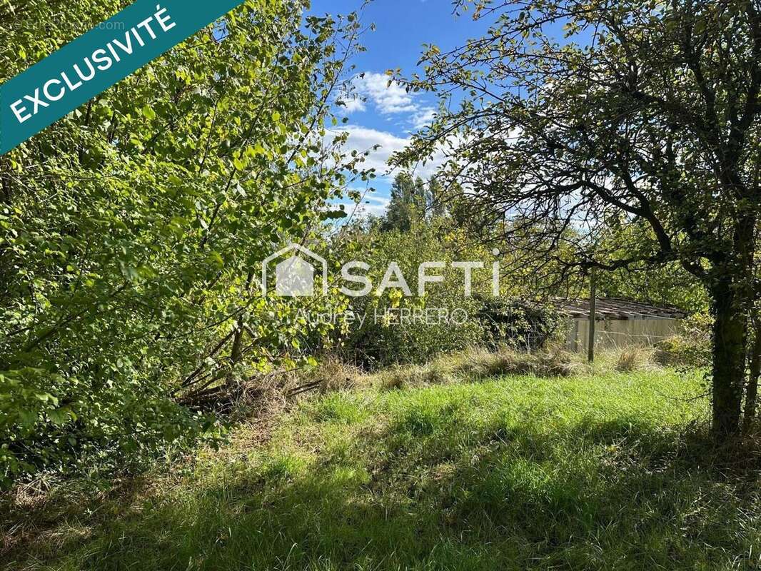 Photo 5 - Terrain à BOULOC