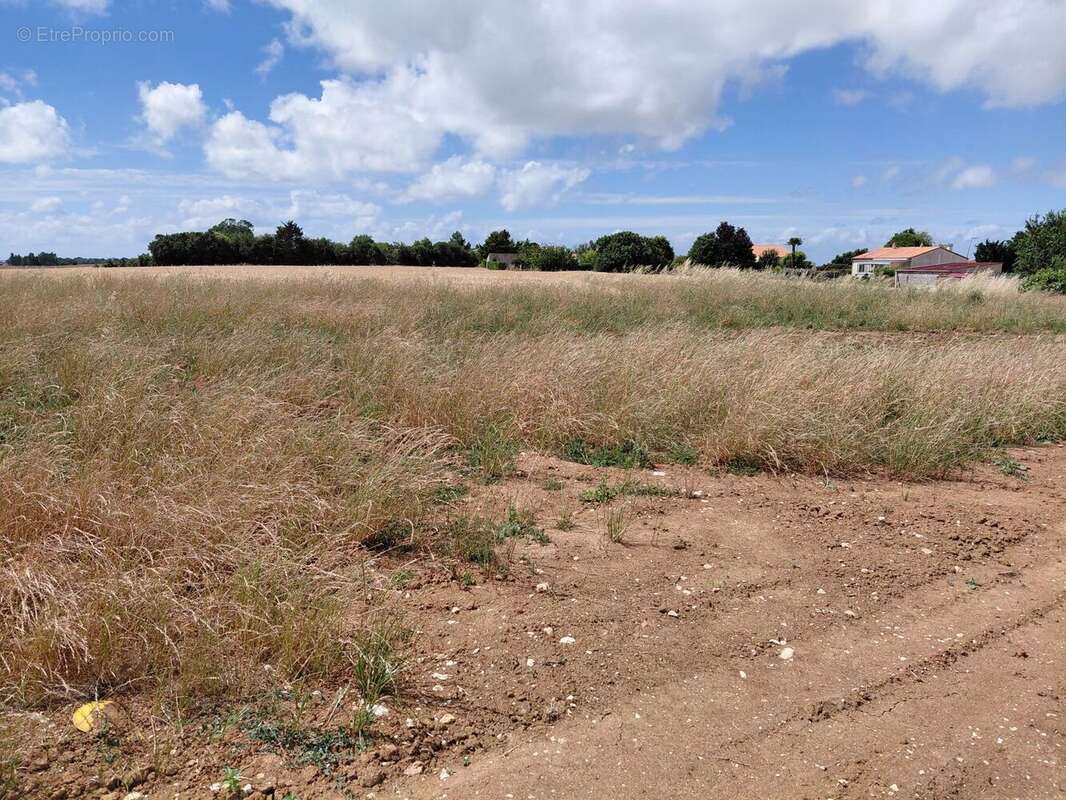 Terrain à bâtir de 390 m² à SAINT-NAZAIRE-SUR-CHARENTE (17) - photo 2