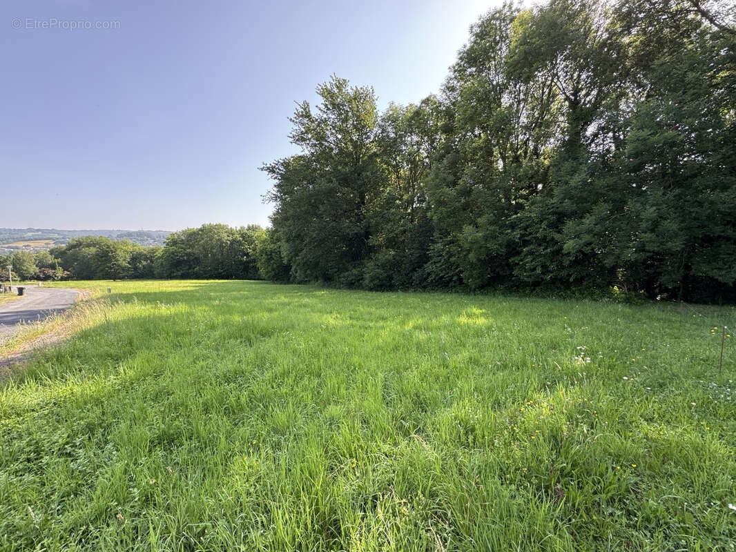 Terrain à MAZAMET