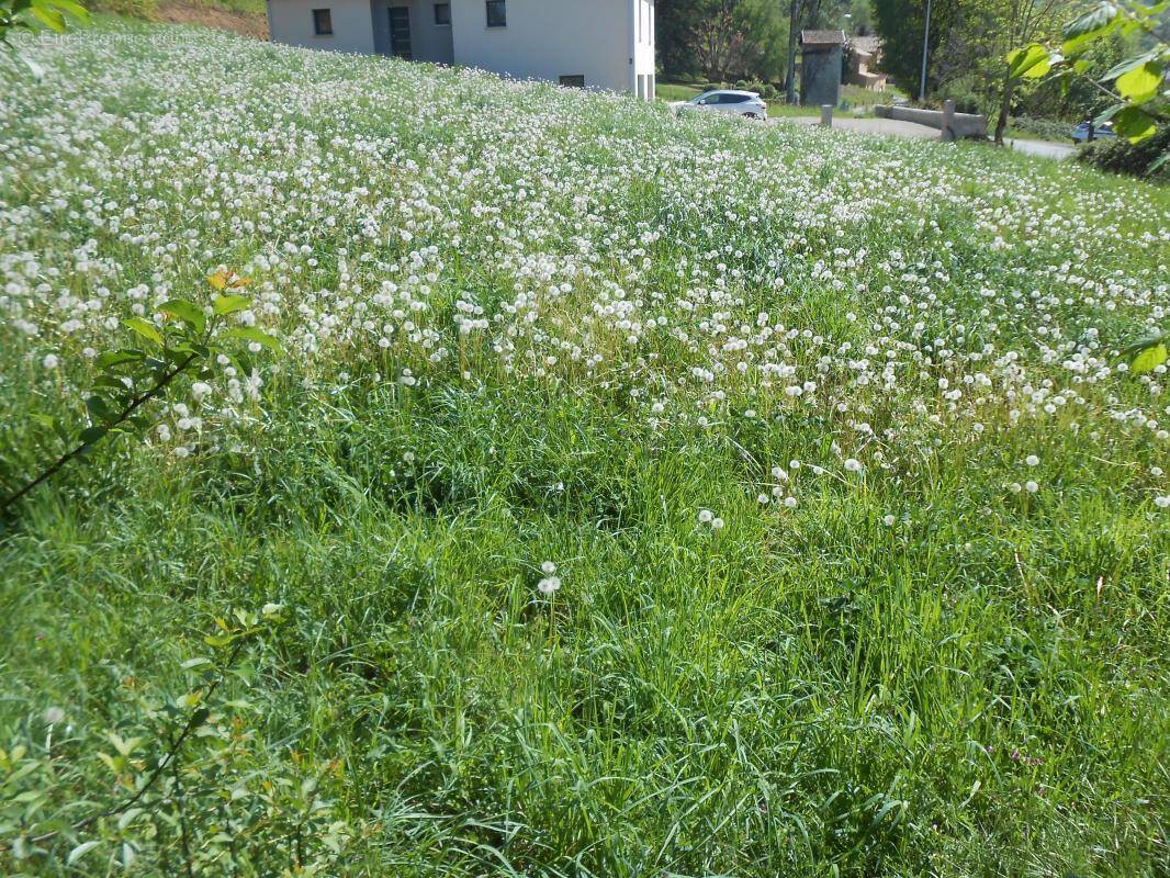 Terrain à LIVINHAC-LE-HAUT