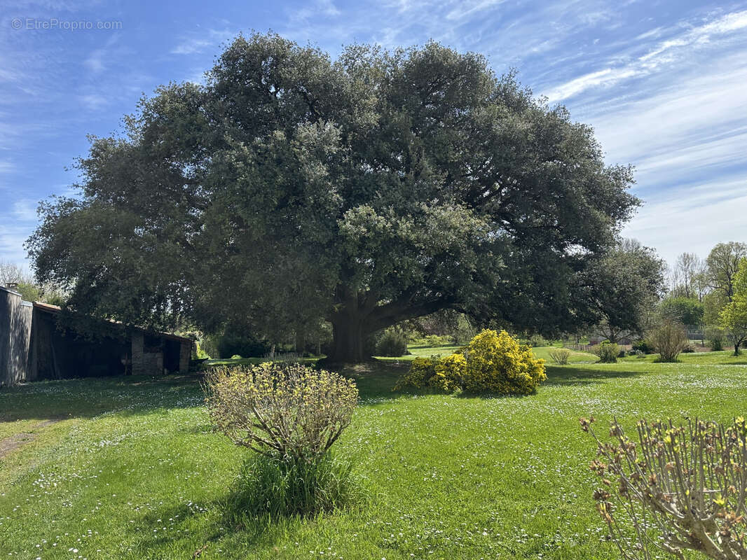 Maison à SAINT-ROMAIN-DE-BENET