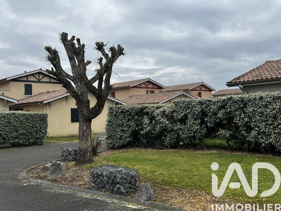 Photo 1 - Maison à TARTAS