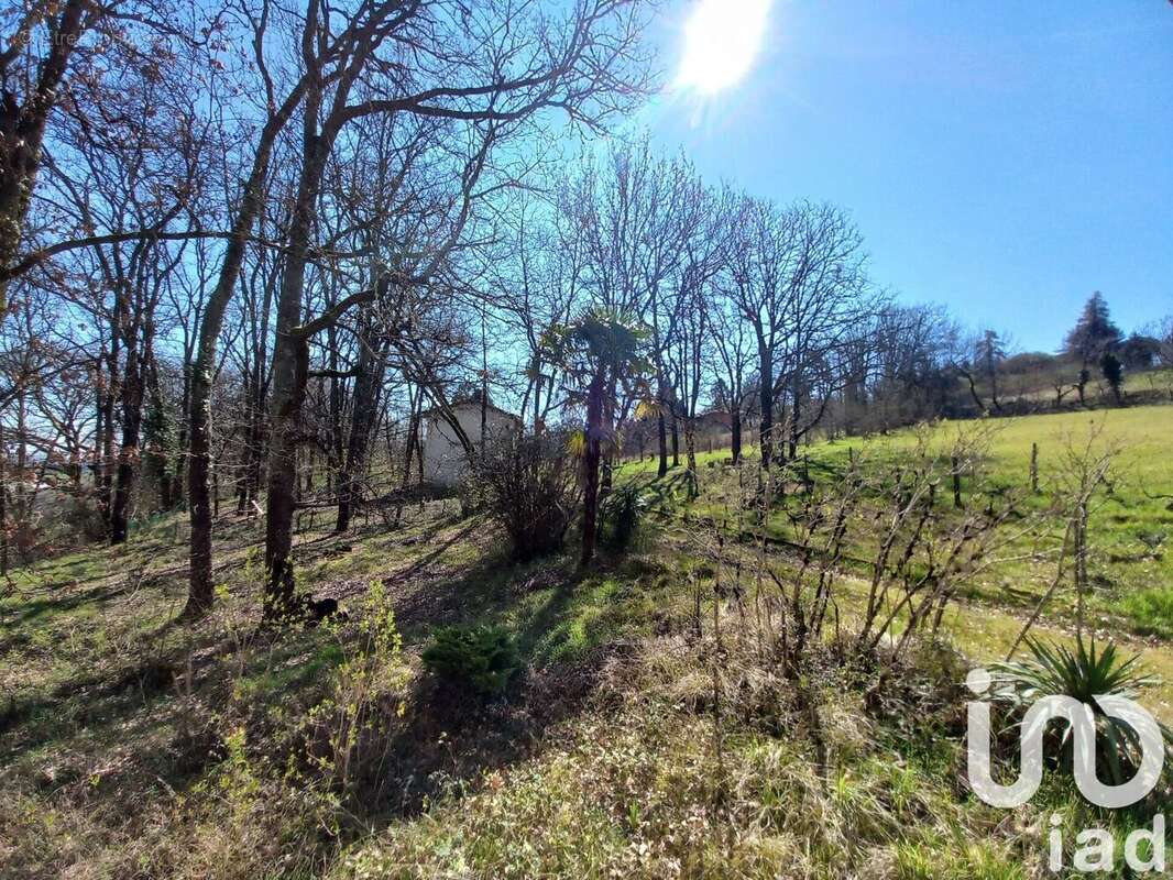 Photo 3 - Maison à SAINTE-COLOMBE-EN-BRUILHOIS