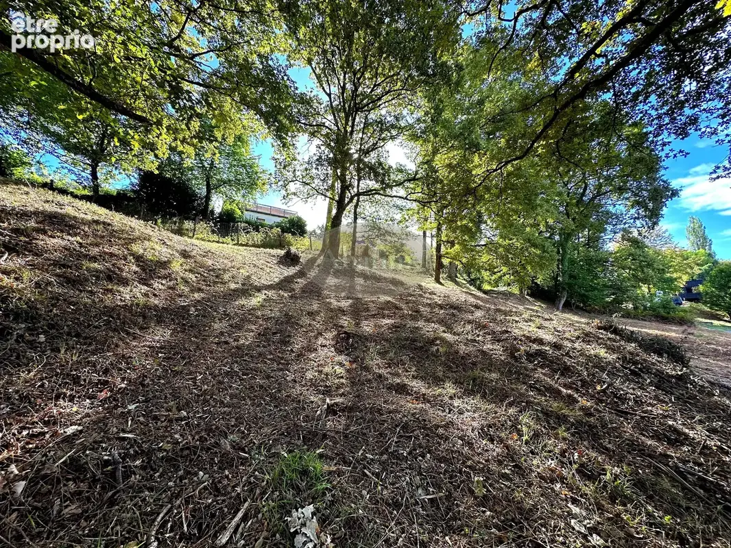 Terrain constructible proche de Tarbes - photo 5