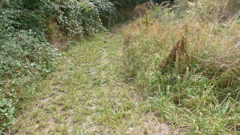 Maison à AVAILLES-THOUARSAIS