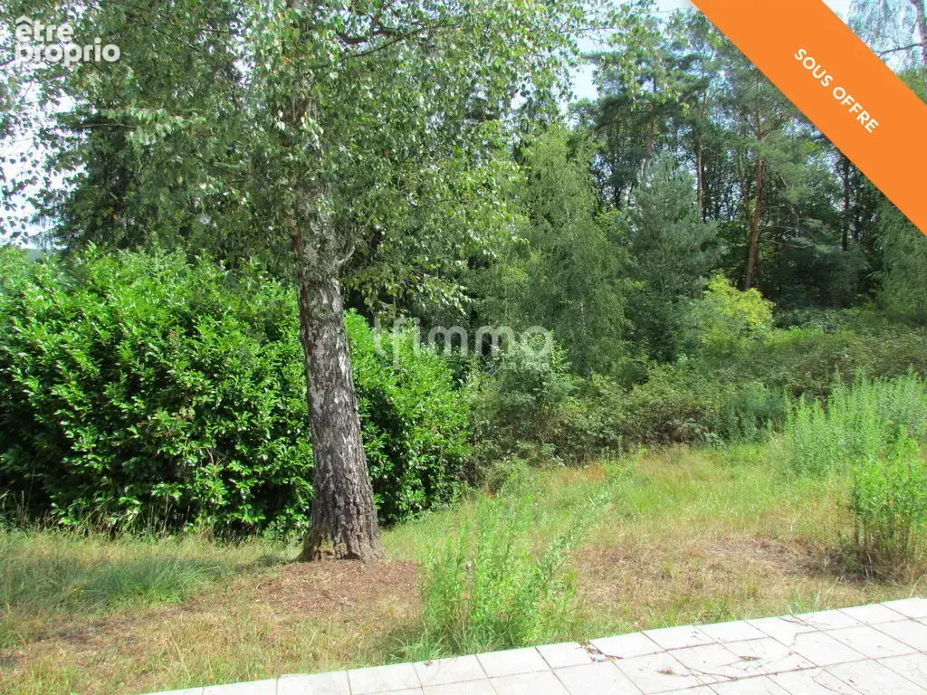 Maison avec dépendances sur 35 ares - photo 6