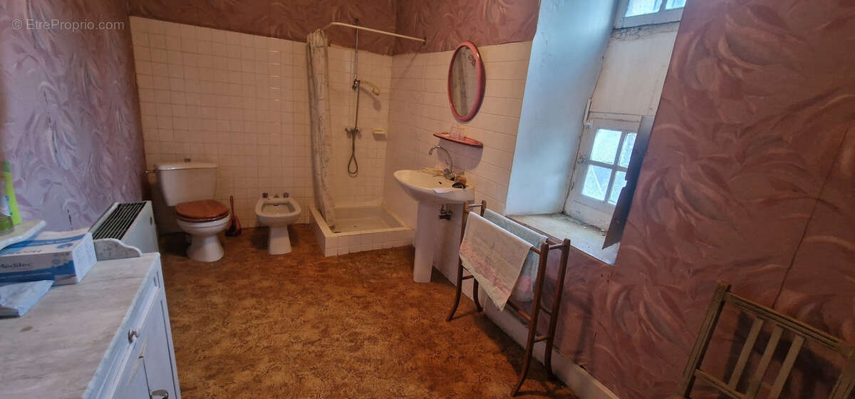 Grande maison de village  de 175 m2 avec cour + potager+ Chataigneraie - photo 12